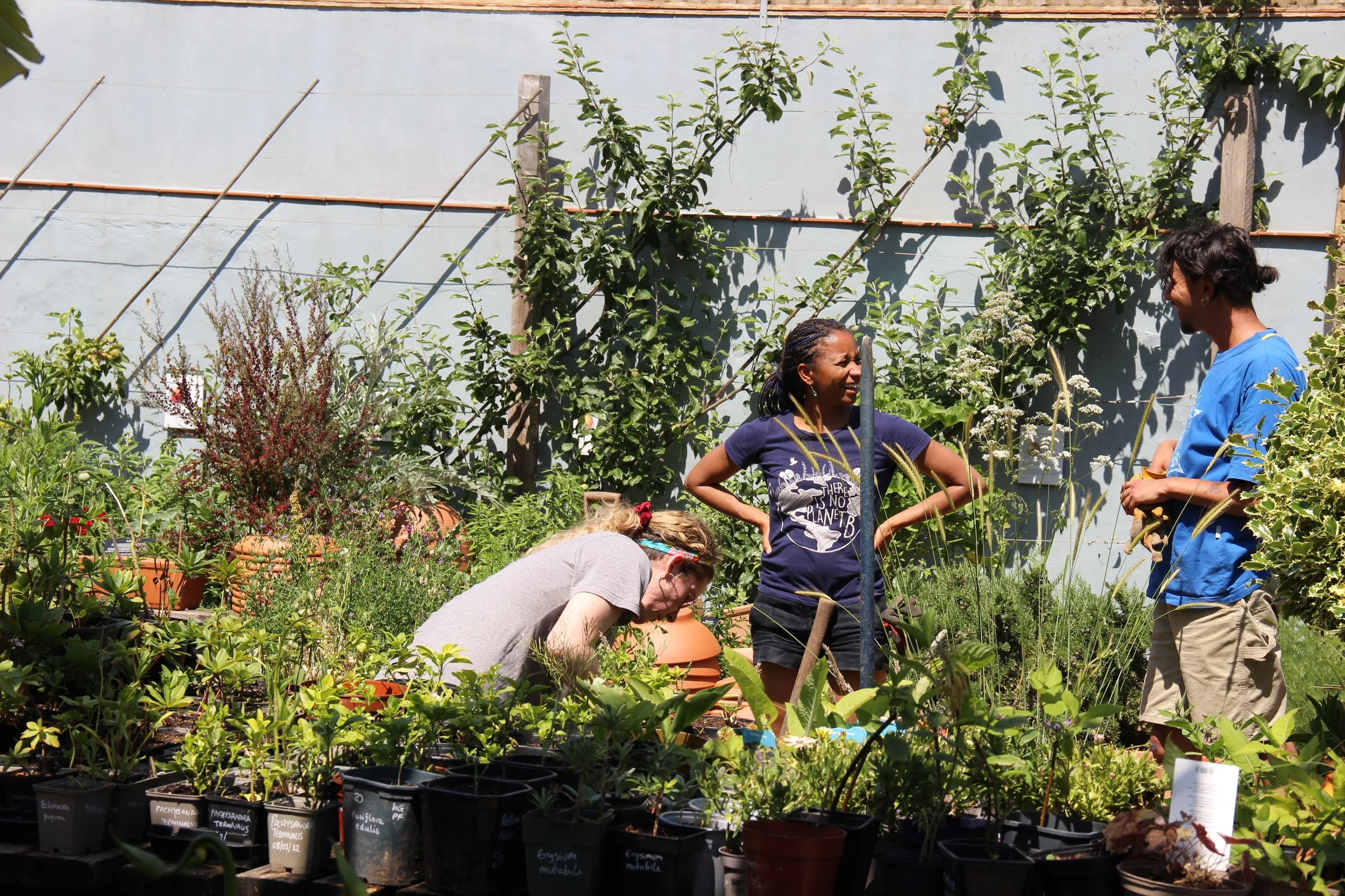 Beginners Gardening Blueprint 2026: How to Start from Scratch in 2026 1 Starting a garden in 2026