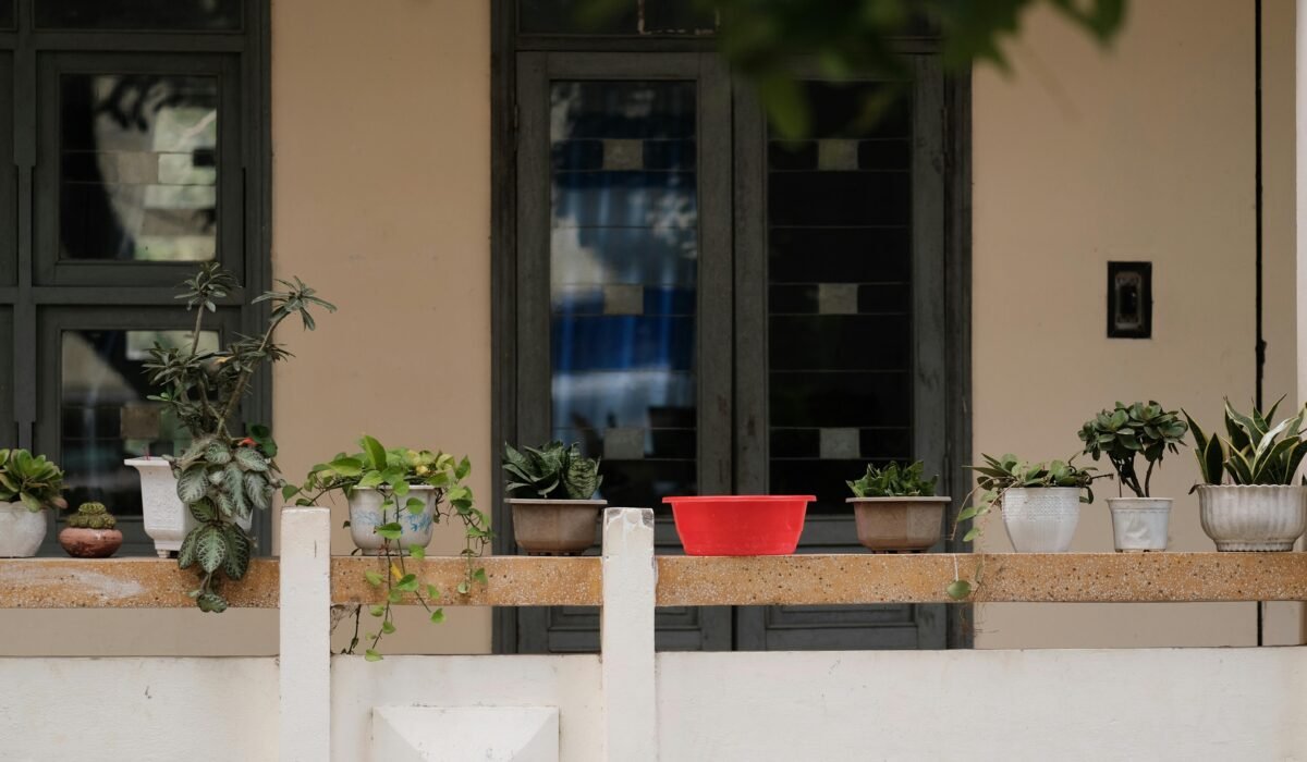 A peaceful balcony featuring a variety of potted plants and a red container, perfect for gardening enthusiasts. — Photo by Pew Nguyen on Pexels