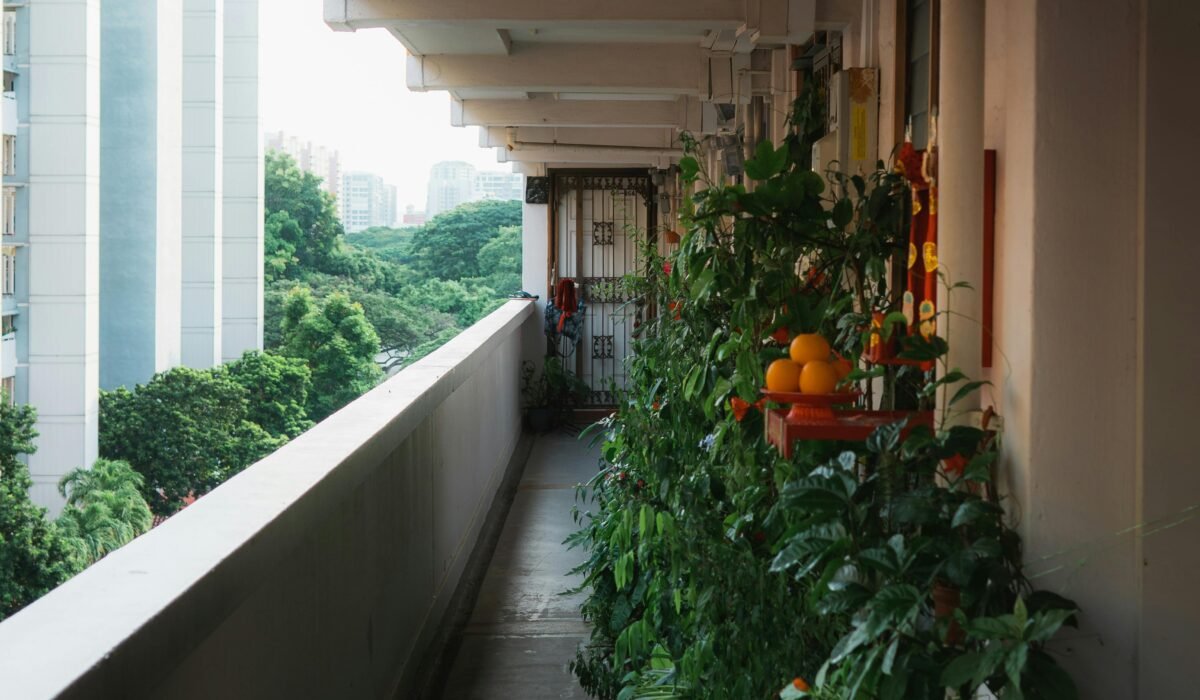 A lush balcony garden in an urban setting, featuring vibrant green plants and distant skyscrapers. — Photo by William Gan on Pexels