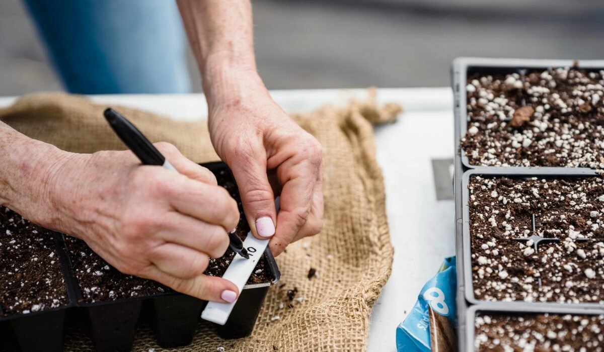 Close-up of gardener's hands labeling a seedling tray with soil, preparing for planting. — Photo by Greta Hoffman on Pexels