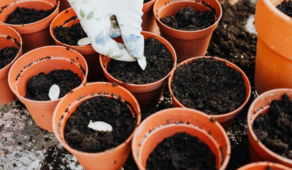 A gloved hand planting seeds in multiple pots with fresh soil. — Photo by www.kaboompics.com on Pexels