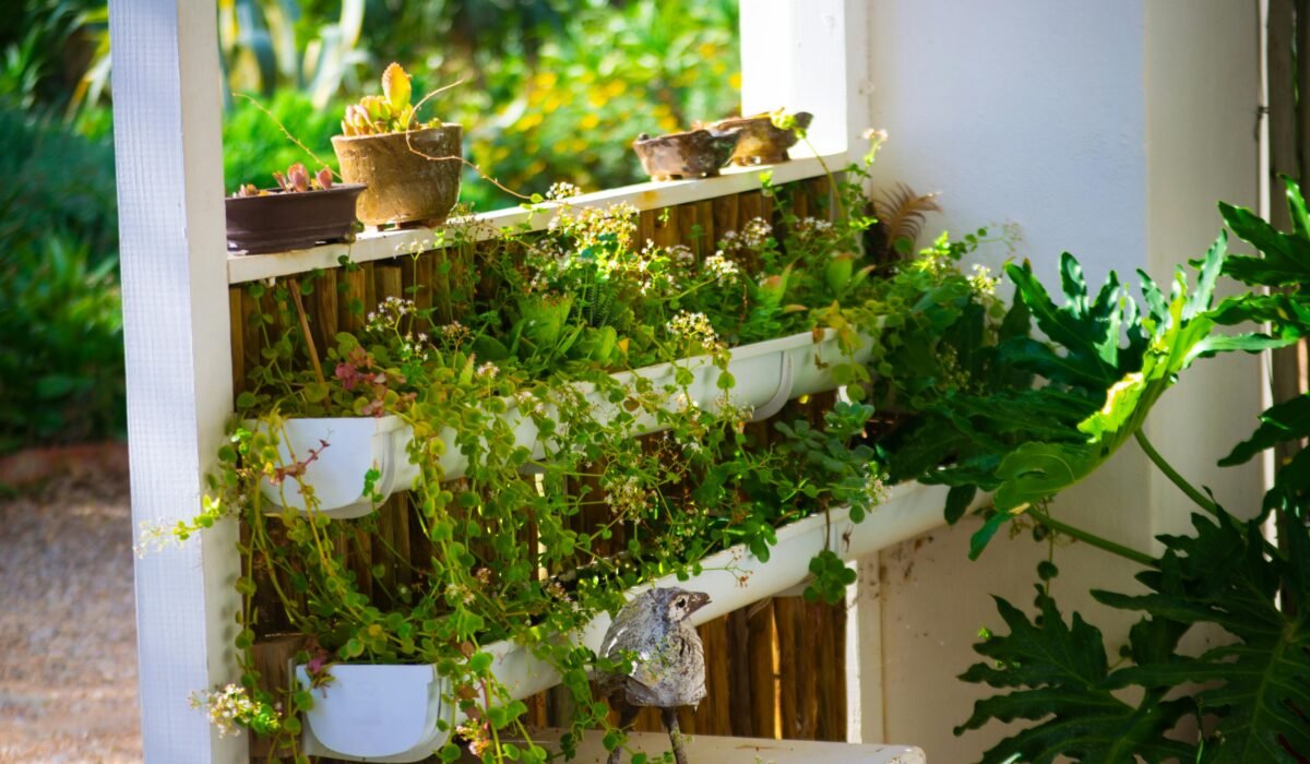 A vibrant vertical garden with potted succulents and lush greenery in natural sunlight creating a serene atmosphere. — Photo by Ryan Gomo on Pexels
