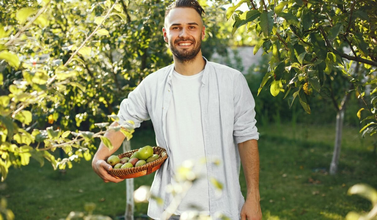 A smiling man stands in an orchard holding a basket of freshly picked apples, capturing the essence of a fruitful harvest. — Photo by Gustavo Fring on Pexels