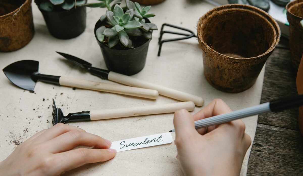From above of anonymous person writing succulent on paper tag while working at table with gardening instruments — Photo by Gary Barnes on Pexels