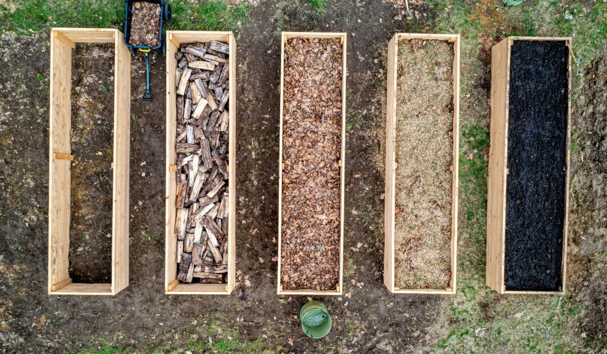 Top view of wooden boxes with piles of firewood wood chips sawdust and coal placed on ground in agricultural plantation — Photo by Skyler Ewing on Pexels