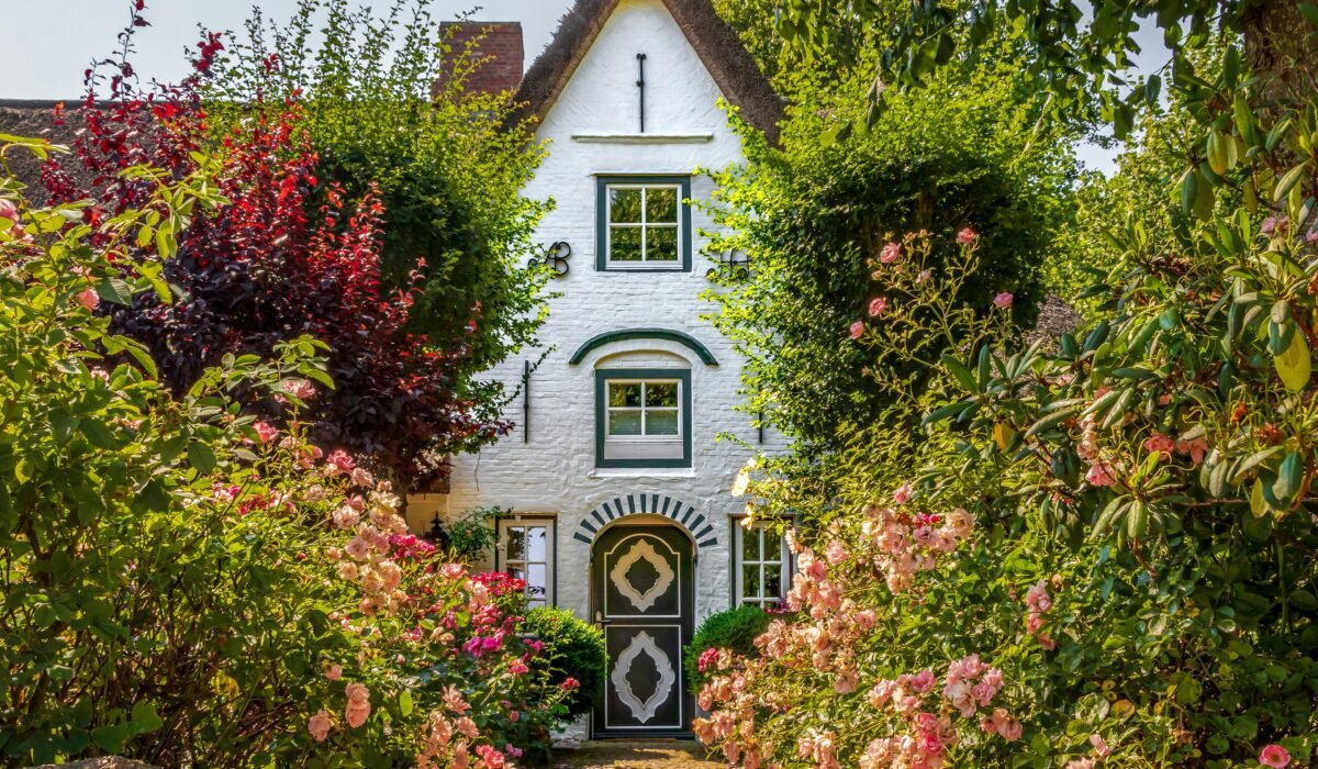 A picturesque white cottage with a thatched roof amidst blooming roses and lush greenery. — Photo by tom analogicus on Pexels