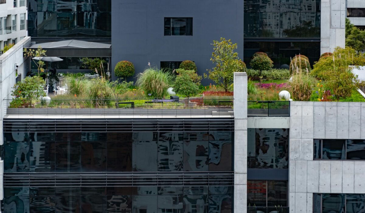 Explore a vibrant rooftop garden nestled among modern buildings, showcasing urban greenery and architectural charm. — Photo by Diego F. Parra on Pexels