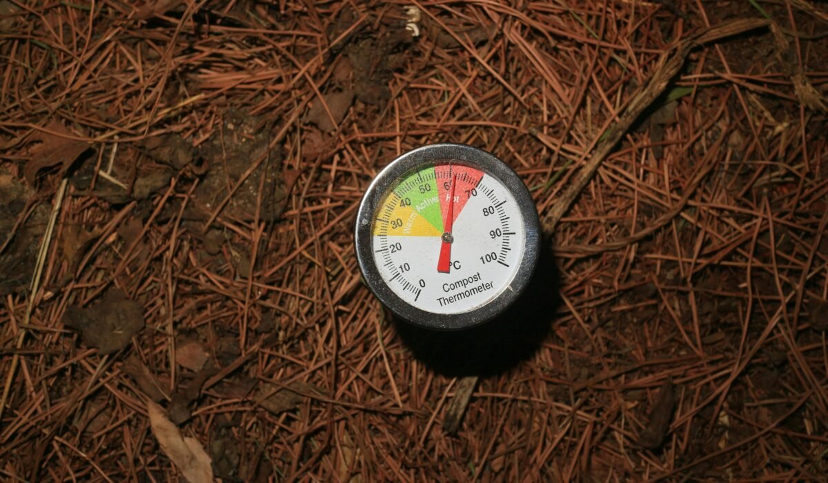Close-up of a compost thermometer in forest soil, indicating temperature for decomposition. — Photo by Dino on Pexels