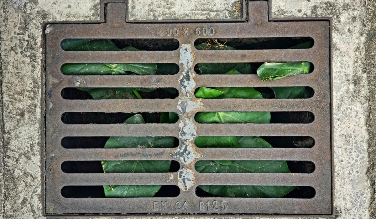 Metal drainage grate covering green plants in an urban setting. — Photo by Wayee Tan on Pexels