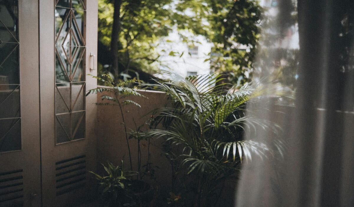 Peaceful balcony adorned with lush greenery and natural light, creating a tropical home oasis. — Photo by Aniket Suryawanshi on Pexels