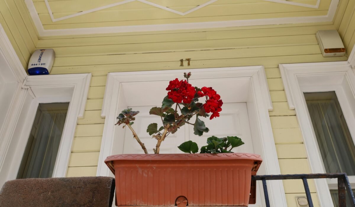 Elegant red geraniums in a terracotta planter on a porch with yellow siding. — Photo by Melike on Pexels