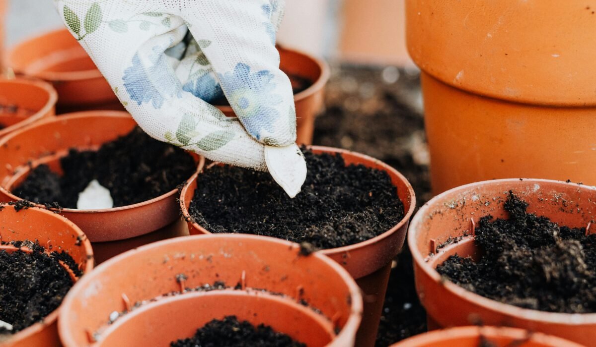 Close-up of a gloved hand planting seeds in several small pots surrounded by soil. — Photo by www.kaboompics.com on Pexels