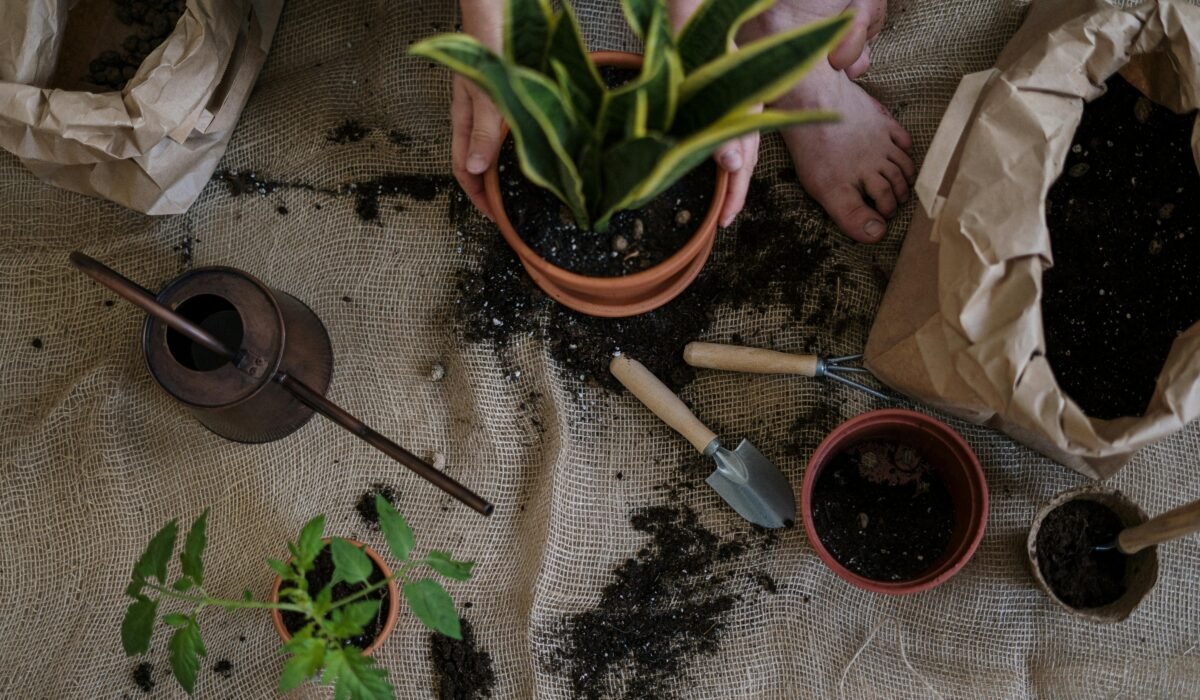 A serene scene of home gardening with potted plants and tools on a burlap mat. — Photo by cottonbro studio on Pexels