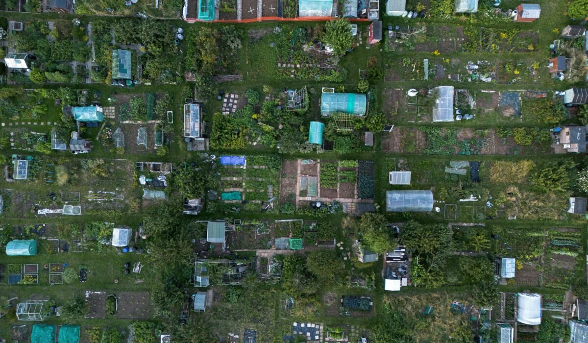 Aerial photograph showcasing organized community gardening plots in Brighton, England. — Photo by Jordan Coleman on Pexels