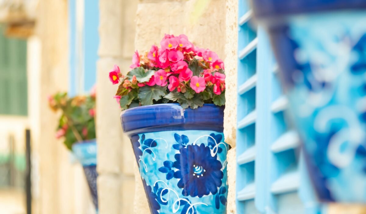 Vibrant pink flowers in artistic blue pots adorn a stone wall, creating a lively street decor. — Photo by The Daphne Lens on Pexels