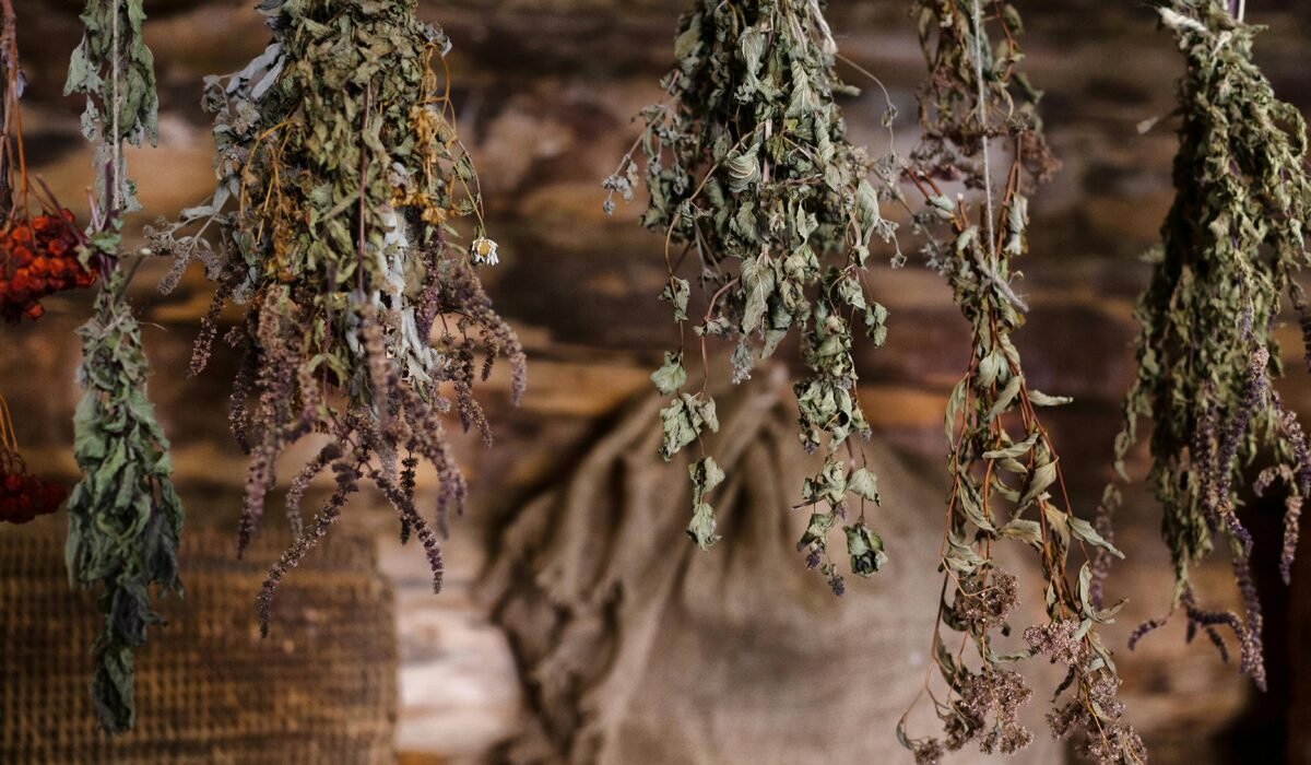 A rustic scene featuring a variety of dried herbs hanging indoors, showcasing natural textures. — Photo by Plato Terentev on Pexels