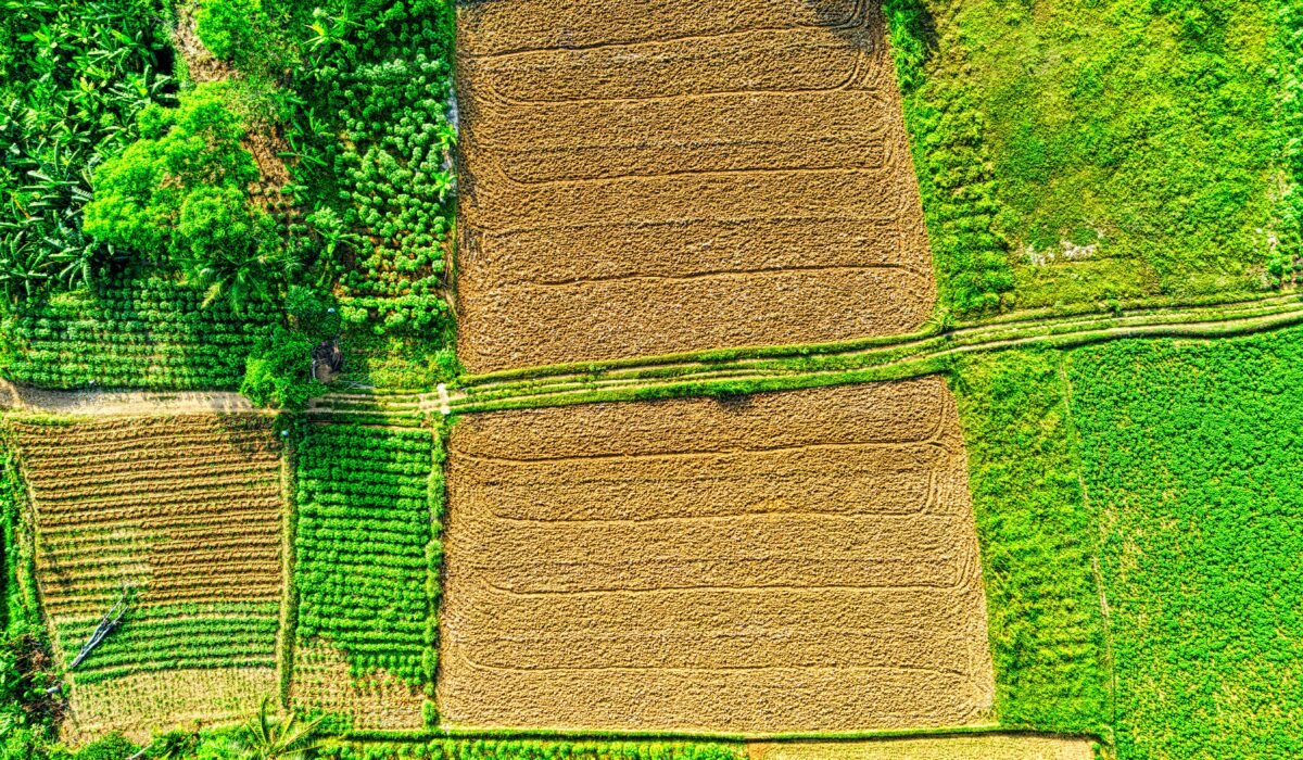 Vibrant aerial landscape of diverse farmland in West Java, showcasing varied crops and colors. — Photo by Tom Fisk on Pexels