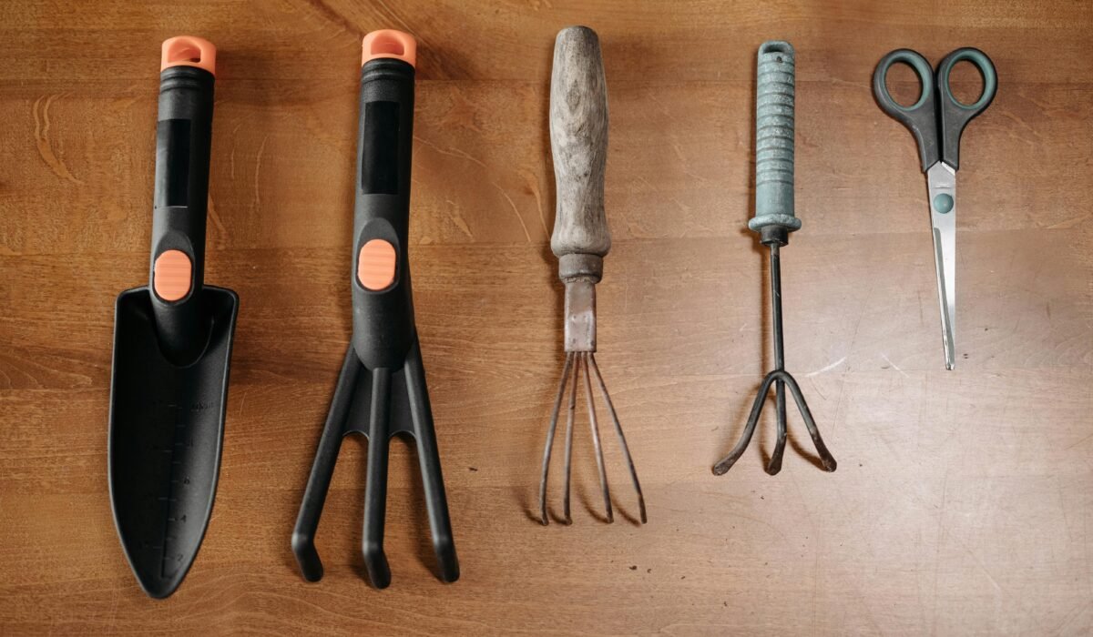A collection of garden tools arranged on a wooden surface for easy plant care. — Photo by ROCKETMANN TEAM on Pexels