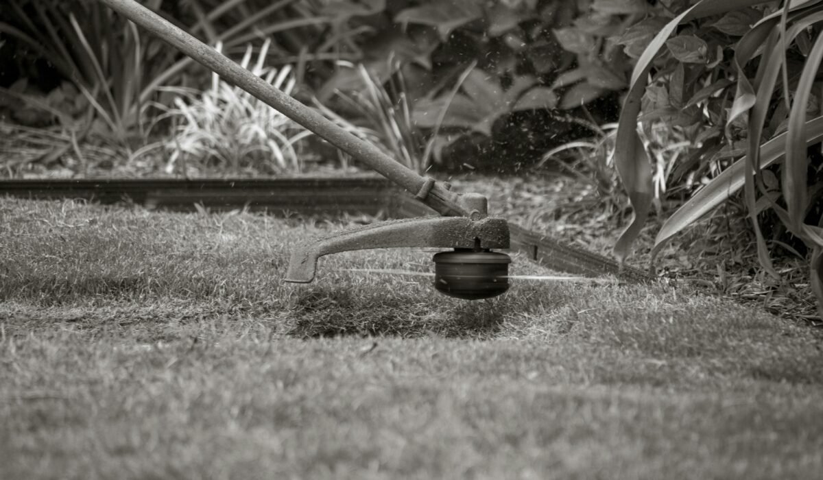 Close-up of a grass trimmer cutting the lawn with foliage background. — Photo by Princess on Pexels