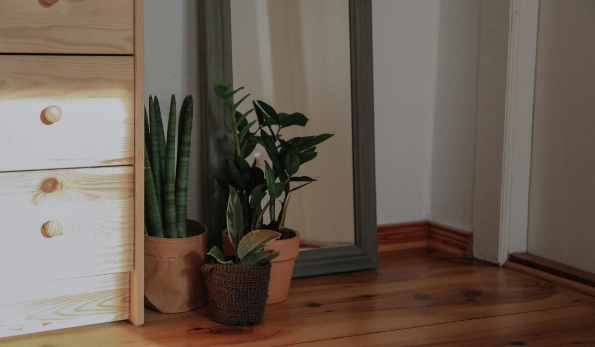 A calm indoor corner featuring potted plants, a mirror, and a wooden cabinet. — Photo by Valeria Palesska on Pexels