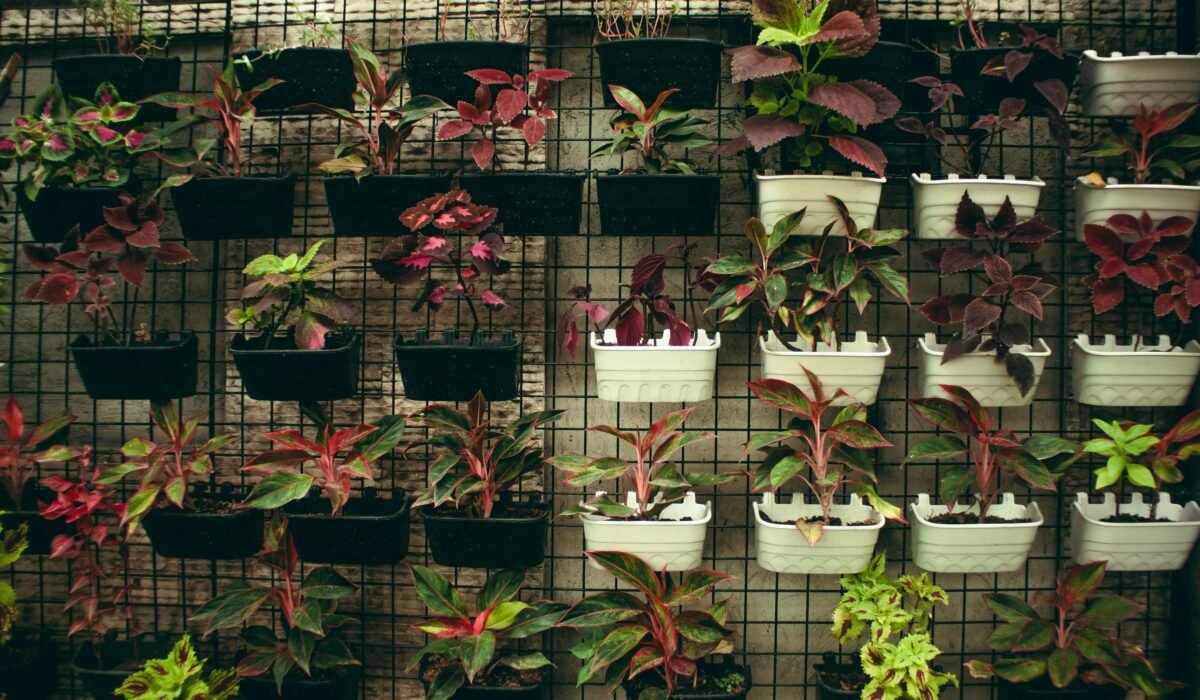 Abundance of bright plants with colorful leaves growing in plastic flowerpots hanging on wall with metal grid in flower store — Photo by Nothing Ahead on Pexels