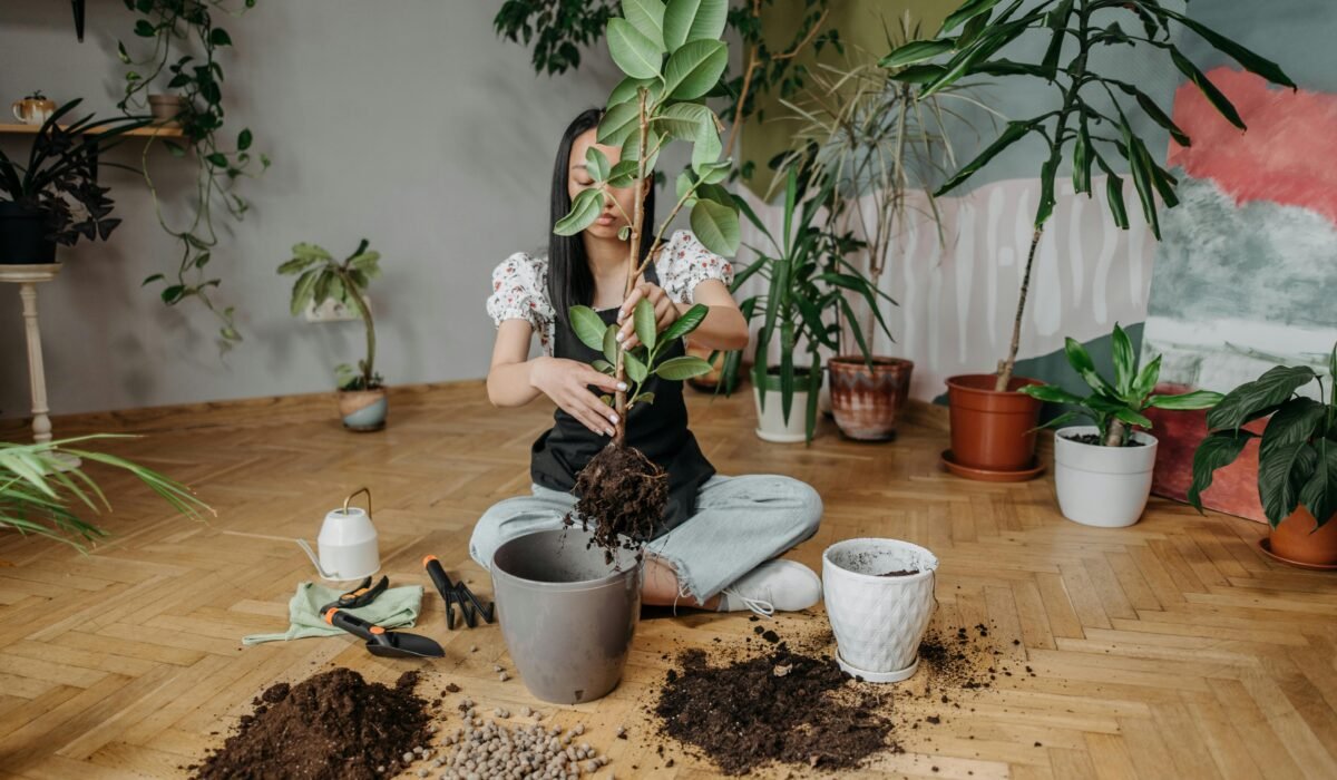 A woman carefully repotting a plant indoors surrounded by various greenery and gardening tools. — Photo by ROCKETMANN TEAM on Pexels