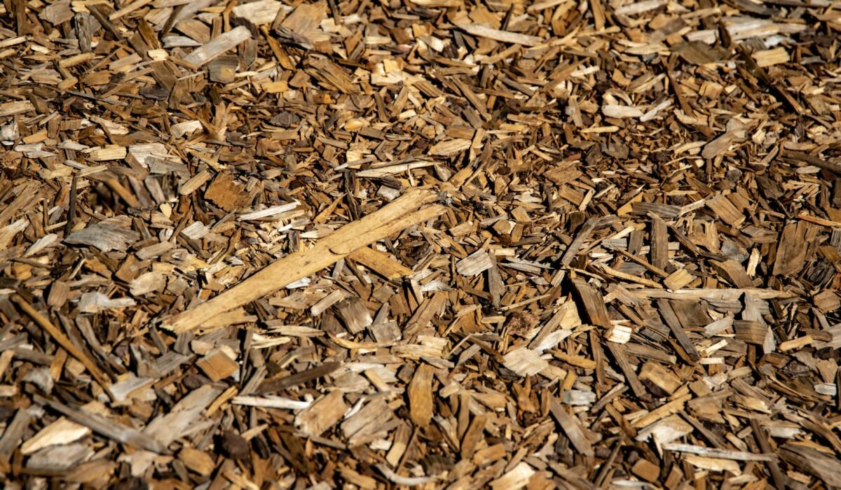 Close-up of brown bark mulch in sunlight, showcasing natural texture. — Photo by Magda Ehlers on Pexels