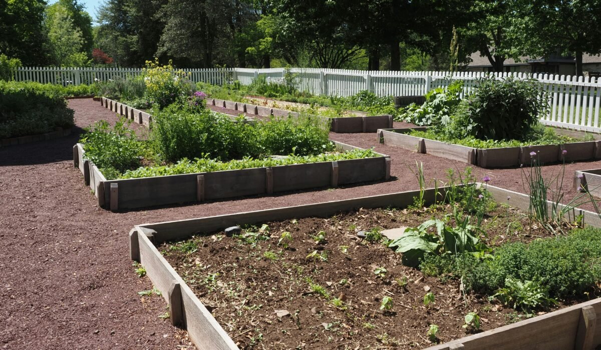 Vibrant community garden with raised beds on a sunny day in Washington Crossing, Pennsylvania. — Photo by Gene Samit on Pexels