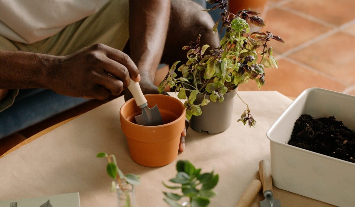 A person planting herbs in pots indoors, focusing on garden tools and soil. — Photo by cottonbro studio on Pexels