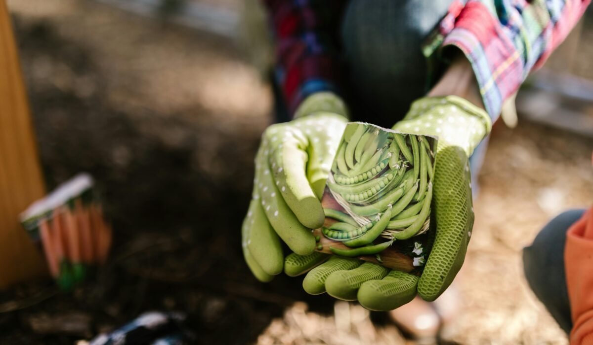 Close-up of gloved hands holding seed packets ready to plant in a sunny garden. — Photo by RDNE Stock project on Pexels