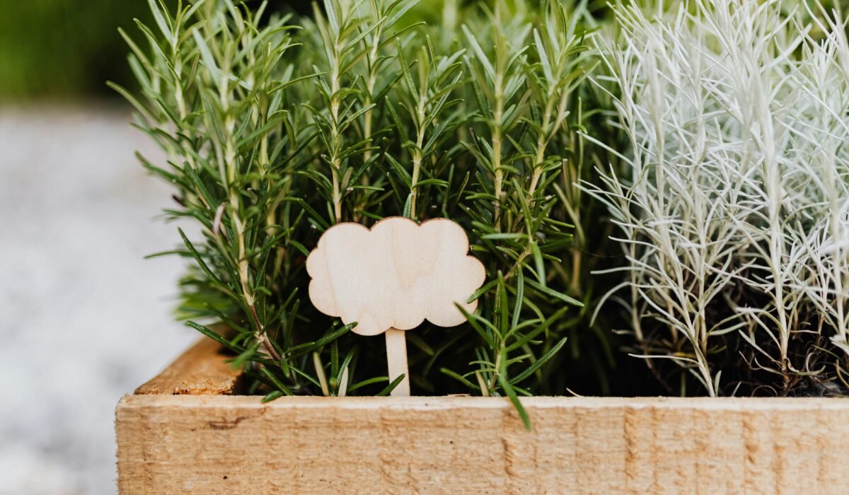 A wooden crate filled with fresh rosemary and lavender plants, featuring and a cloud-shaped sign. — Photo by www.kaboompics.com on Pexels