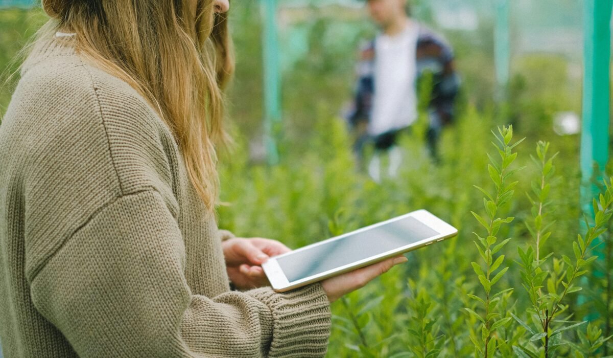 Side view of crop anonymous female gardener using digital device for taking picture of green plants in glasshouse — Photo by Anna Shvets on Pexels