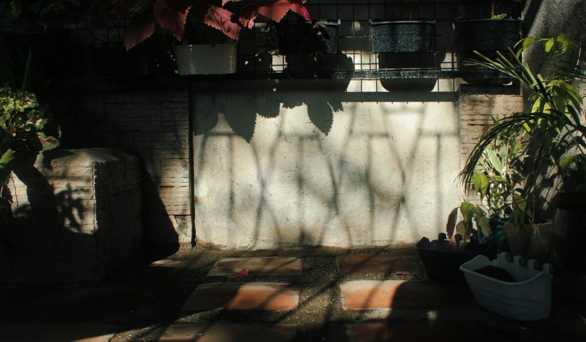 Concrete wall with shadows near green potted plants growing in backyard with flowerpots and bright sunlight in countryside on summer day — Photo by Nothing Ahead on Pexels
