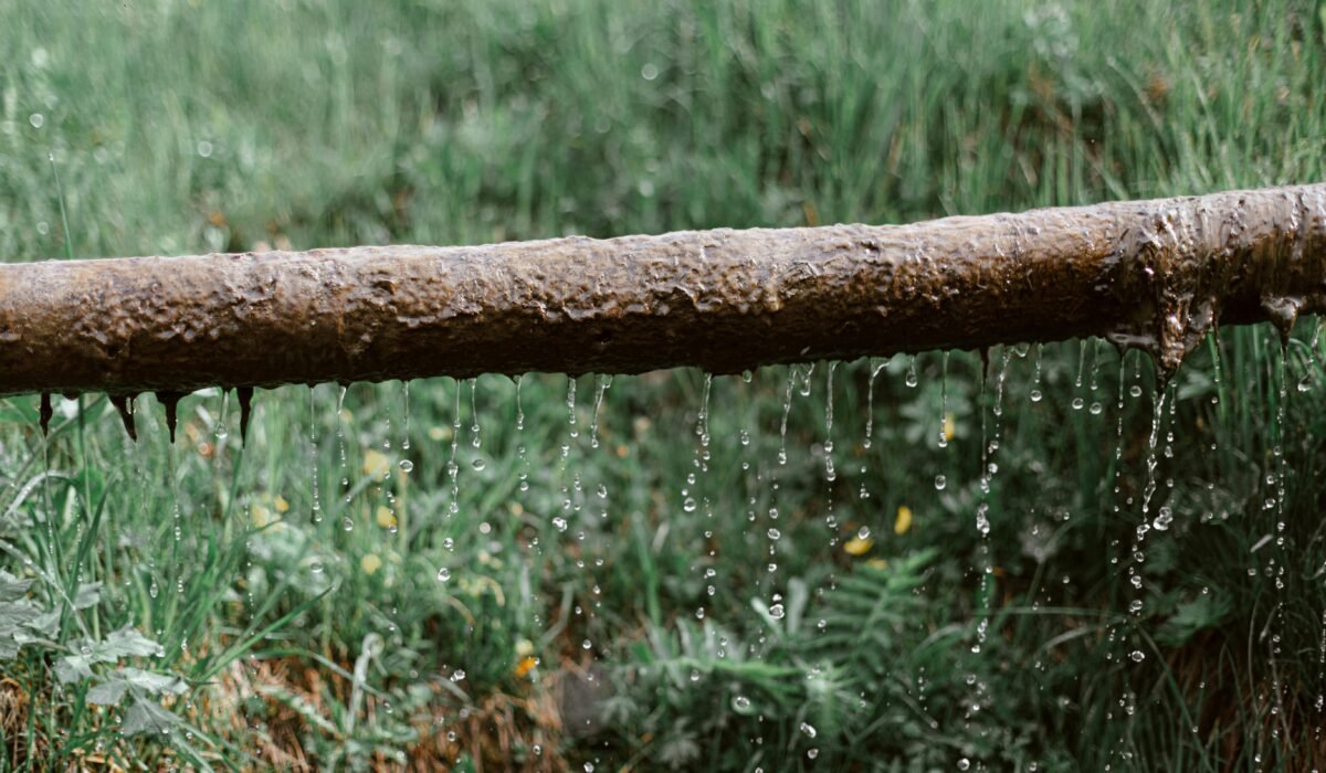 Aged rusted metal tube with dripping water above green lush lawn in garden — Photo by eberhard grossgasteiger on Pexels