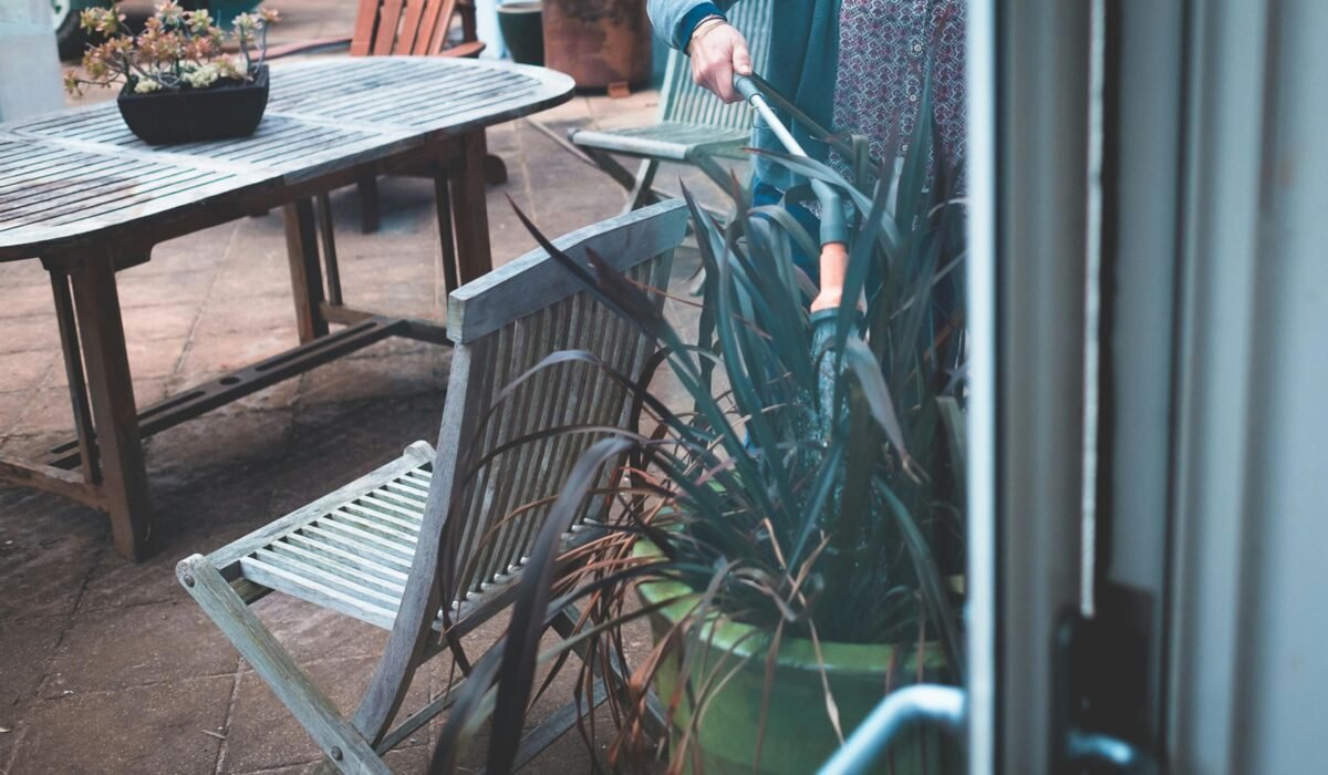 Through window crop anonymous female in casual clothes watering big potted plant from hosepipe in backyard — Photo by Lachlan Ross on Pexels