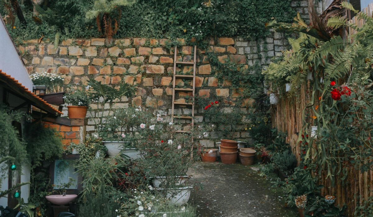 Lush garden courtyard with stone wall and plants in Đà Lạt, Vietnam. — Photo by Loifotos on Pexels