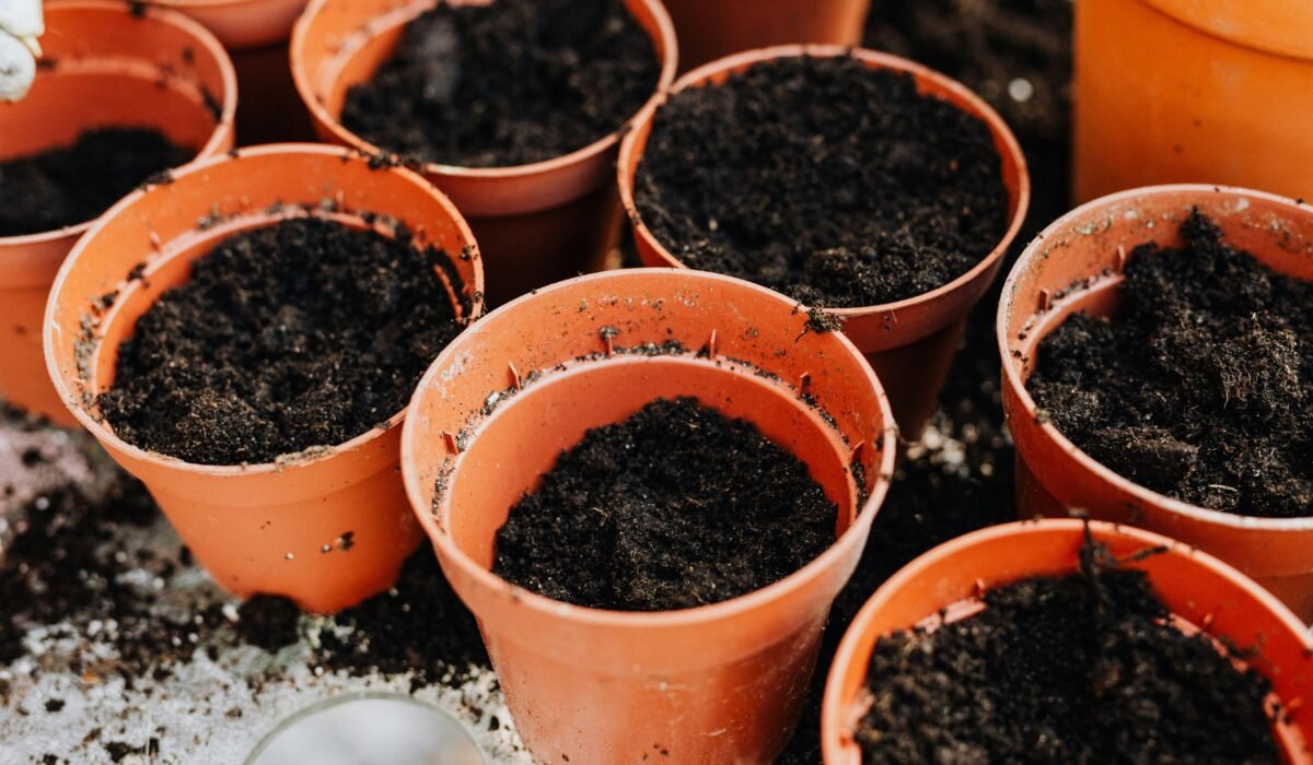 Top view of several empty pots filled with soil, ready for planting. — Photo by www.kaboompics.com on Pexels