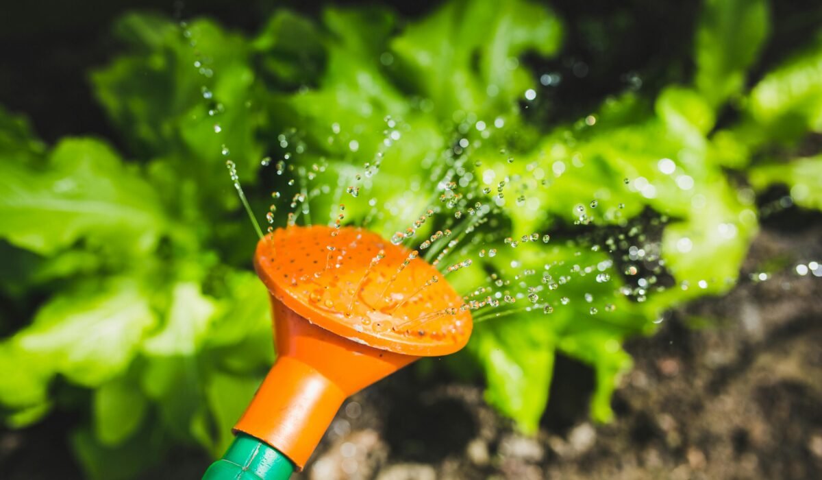 Bright garden scene with water spray on lush green plants, captured in vibrant detail. — Photo by Karolina Grabowska www.kaboompics.com on Pexels