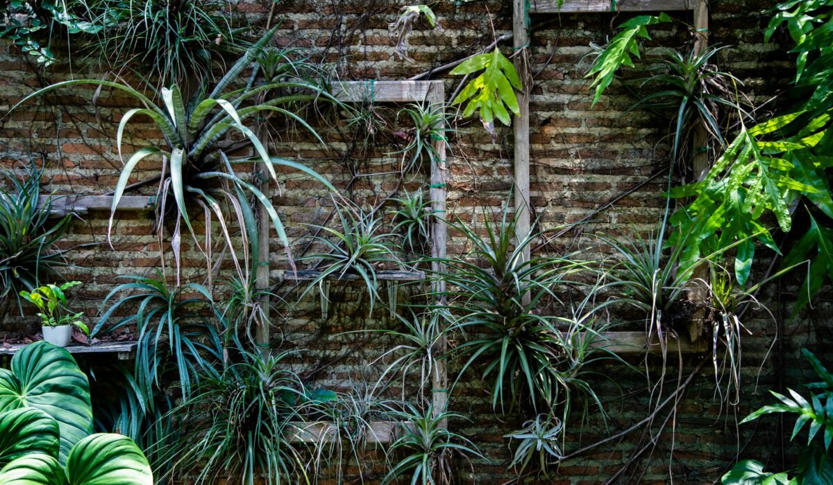 Lush vertical garden with diverse green plants on an aged brick wall, perfect for natural decor. — Photo by sukrit lamthong on Pexels
