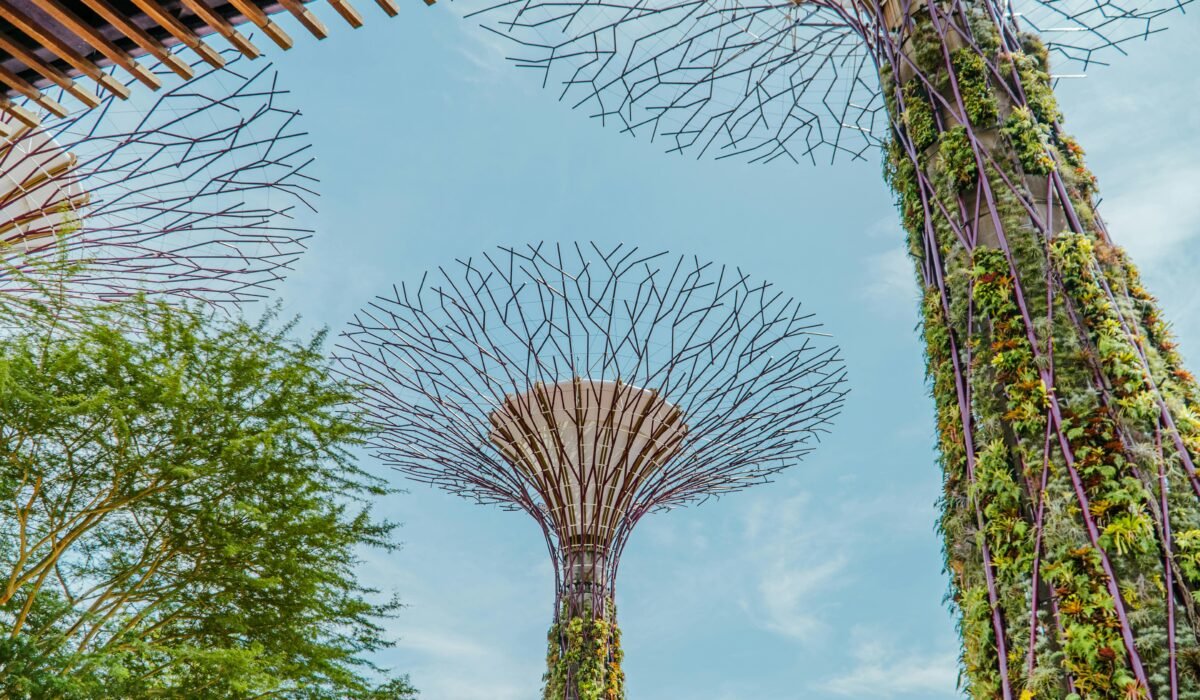 View of Supertree Grove at Gardens by the Bay, an iconic feature of Singapore's skyline. — Photo by Christian Alemu on Pexels