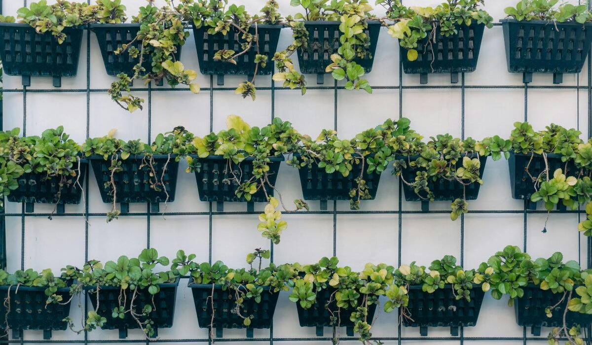 A vibrant vertical garden with green plants in rows of black containers on a white wall. — Photo by Firman Marek_Brew on Pexels