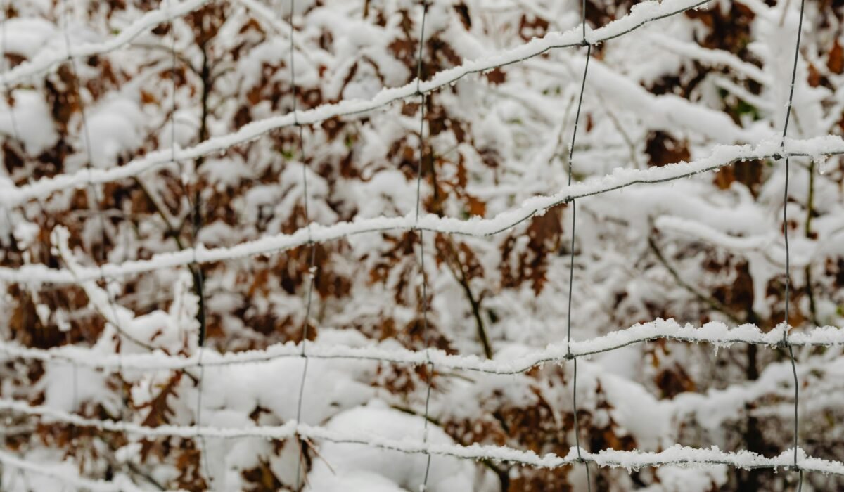 A detailed view of a snow-covered fence with winter foliage in the background. — Photo by www.kaboompics.com on Pexels