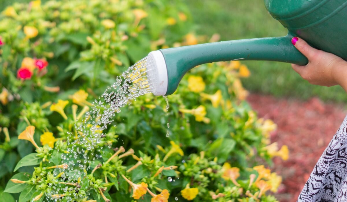 Close-up of hand watering vibrant flowers with a green watering can in a sunny garden. — Photo by Sarah Dietz on Pexels