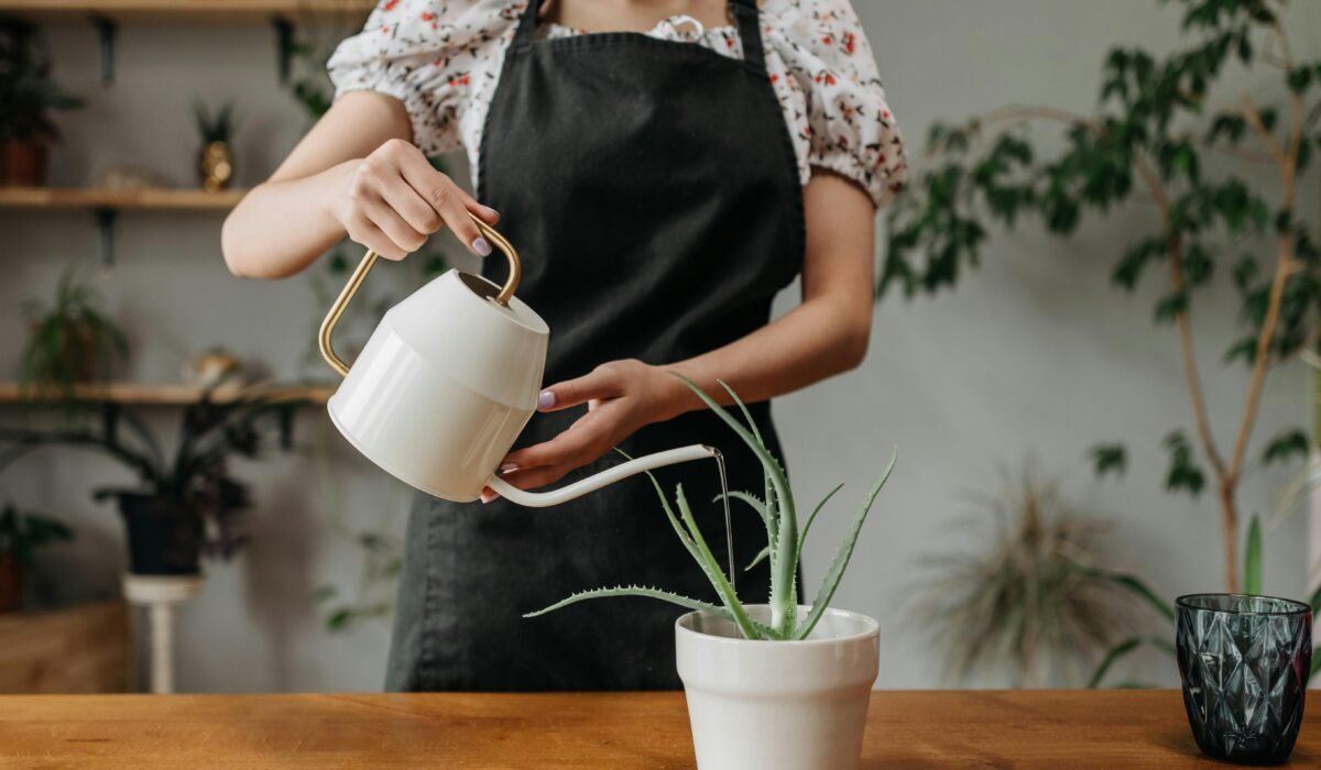 A young woman waters a potted plant indoors, emphasizing plant care and home gardening. — Photo by ROCKETMANN TEAM on Pexels