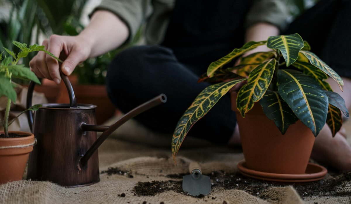 A gardener tending to houseplants indoors with a watering can and trowel. — Photo by cottonbro studio on Pexels