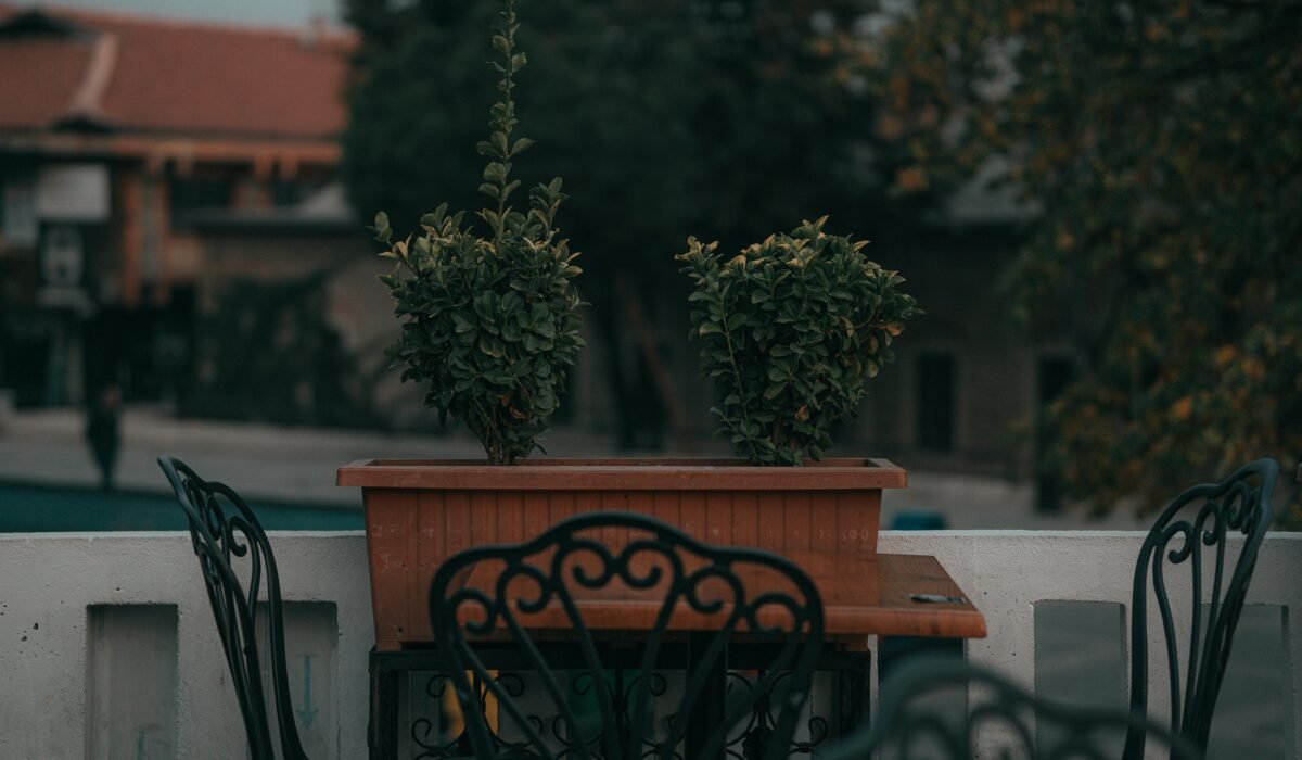 Elegant outdoor patio scene featuring ornate chairs and potted plants. — Photo by Enes Karahasan on Pexels