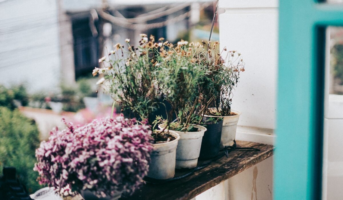 Balcony Garden Grow Lighting Ideas 2026 — Balcony Garden Grow Lighting Ideas 2026: Ultimate Guide — Photo by Nghia .8pm on Pexels