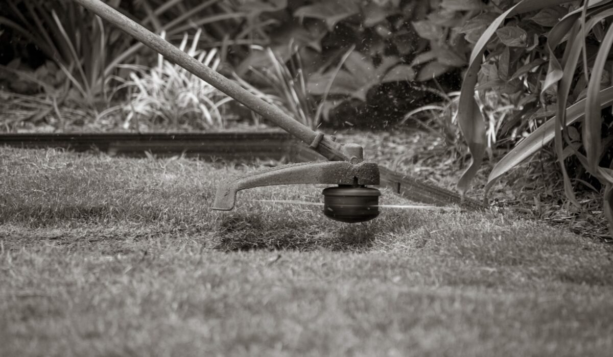 Easy Weed Control for Beginners — Easy Weed Control for Beginners: 7 Effective Methods — Photo by princess on Pexels