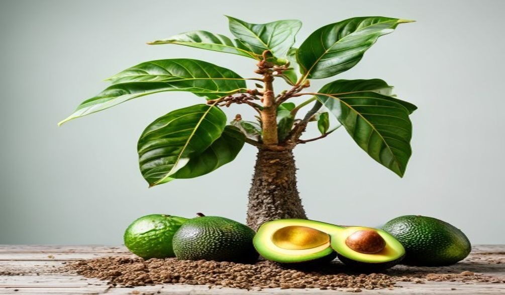 growing avocado trees — Growing avocado trees: 7 essential steps for abundant harvests