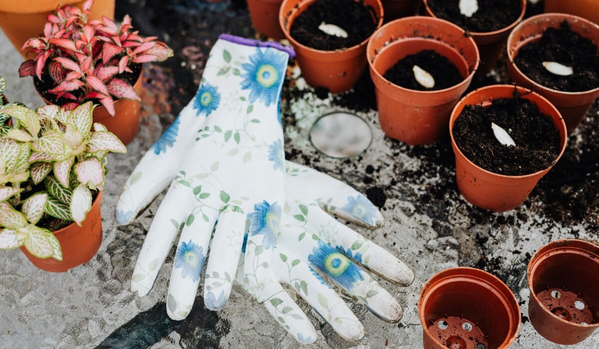 how to compost on balcony — How to Compost on Balcony: 7 Simple Steps to Success — Photo by www.kaboompics.com on Pexels
